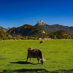 Allgäu