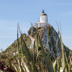 Leuchtturm Nugget Point