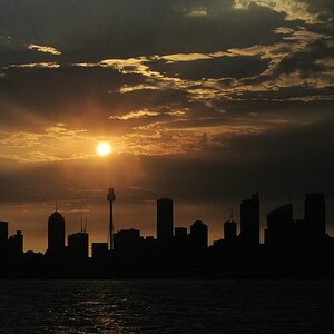 s736 014 030116 Sydney