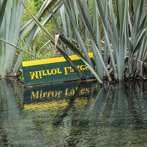 Mirror Lakes