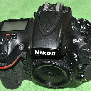 DSC 10001
