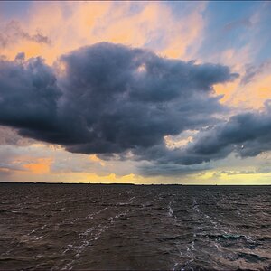 comp 16518   Bodden