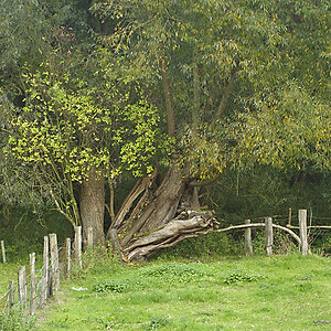 DSC0222Pxl