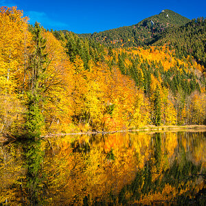 Herbst Hohenburg Weiher