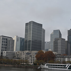NZ6 0489 NFF