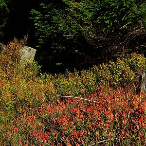 Herbstliche Stuken