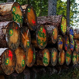 Buntes Holz