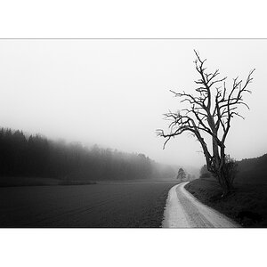 MorgenP1000409