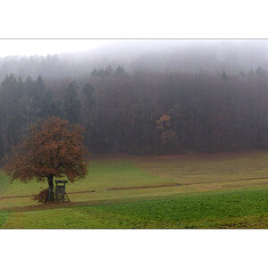 MorgenP1000413