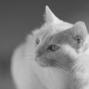 2018 11 06 10 46 17 DSC 7562