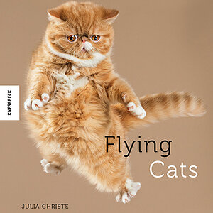 k400 FlyingCatsCover