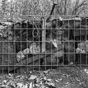 5 KZBuchenwald