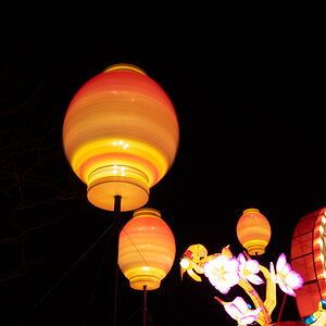 ChinaLightForum 13