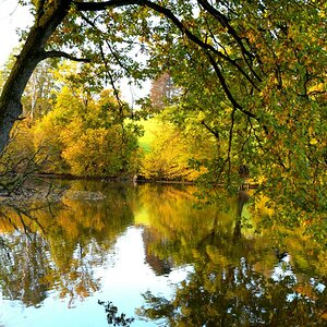 Spaziergang im Herbst