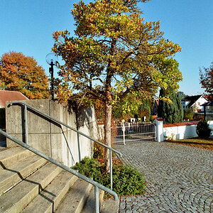 DSC 10015