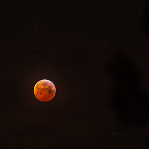 190121 Blutmond 4