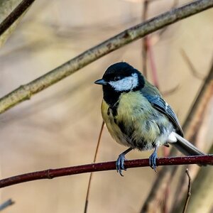 20190120 DSC 6969