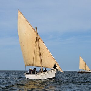 s729 bIwik Segelboot 7740