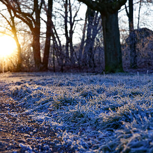 Winterscape
