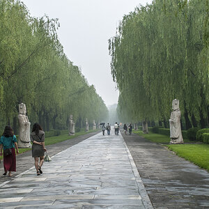 China162