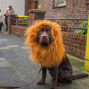 Karneval