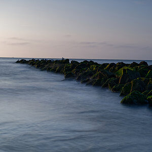 D85 0600 DxO