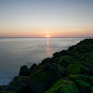 D85 0613 DxO