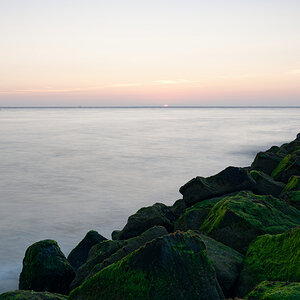 D85 0622 DxO