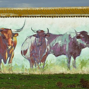Bei Conil de la Frontera, Andalusien