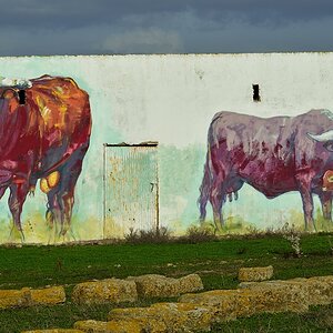 Bei Conil de la Frontera, Andalusien