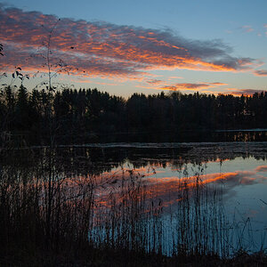 Reflections