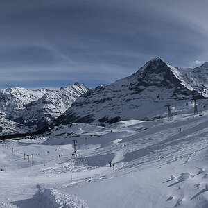 Maennlichen Pano