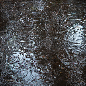 Blasenregen