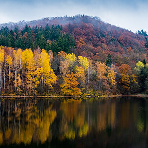 HerbstfarbenForum