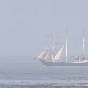 Das Segelschiff ANTIGUA gleitet im Frühnebel vorbei an Cuxhaven der Nordsee entgegen.