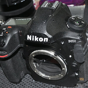 DSC 10330