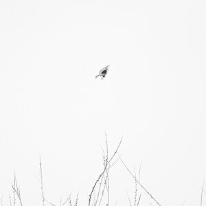 [No title]