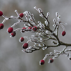 winter 01