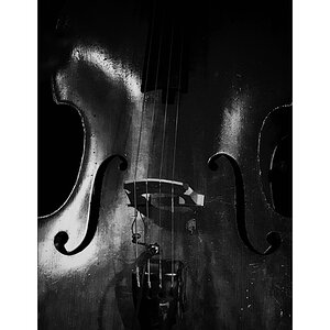 MusikDSC 4507