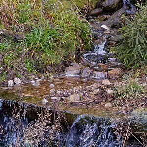 Bachlauf im Harz