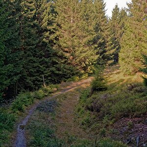 Der Weg ins Licht