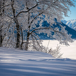 Sylvensteinsee Winter