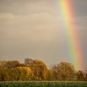 Rainbow 2