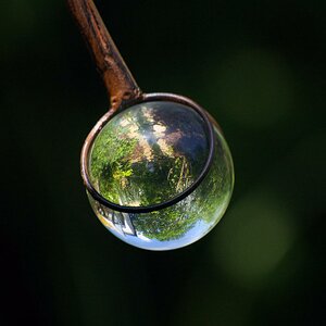 Garten steht Kopf