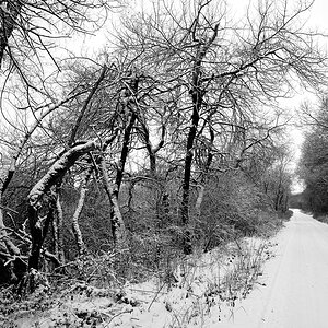 P1000121a sw klein