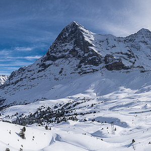 N1D3895 Pano