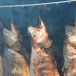 Fisch
