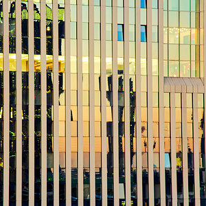 Glas