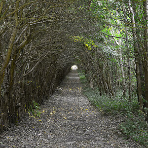 Tunnel