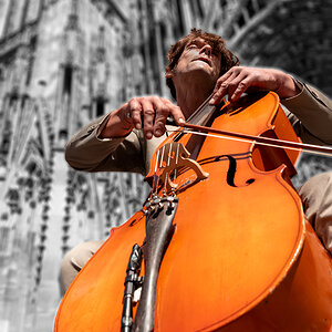 Der Cellist NF